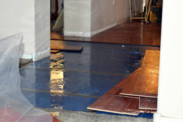 Professional Flood Cleanup technician working in Columbia Station, OH